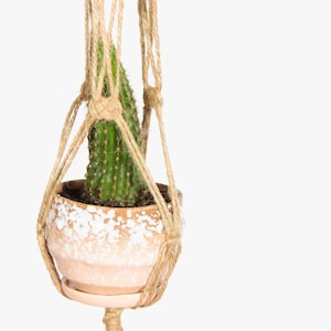 Puede incluir: Una planta de cactus en una maceta de terracota con motas blancas, colgando de un macetero de macramé hecho de cuerda natural.