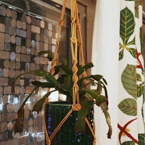 Op de afbeelding: Een groene keramische pot met een getextureerd oppervlak hangt aan een macramee plantenhanger gemaakt van touw in natuurlijke kleur. De pot is gevuld met een groene plant met lange, dunne bladeren.