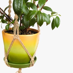 Op de afbeelding: Een groene en oranje keramische pot met een groene schotel hangt aan een macrame plantenhanger gemaakt van natuurlijke touw.