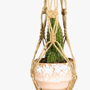 May include: A small cactus plant in a white speckled pot hangs from a macrame plant hanger made of natural jute rope.