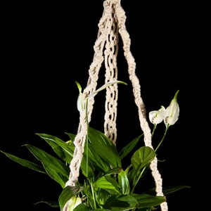 May include: A hanging plant in a brown pot, suspended by a cream-colored macrame plant hanger. The plant features vibrant green leaves and white flowers against a black background. The pot has a textured surface.