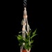 see more listings in the Small Plant Hangers section