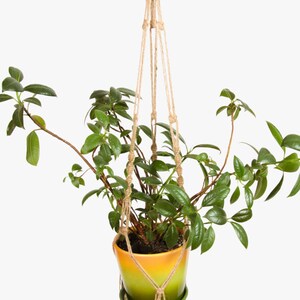 32 inches NATUURLIJKE JUTE macramé Plant Pot Hanger - Kitchen Window Decor - Idee van de Gift - Cinnamon jute - 3mm Koord Opknoping Planter