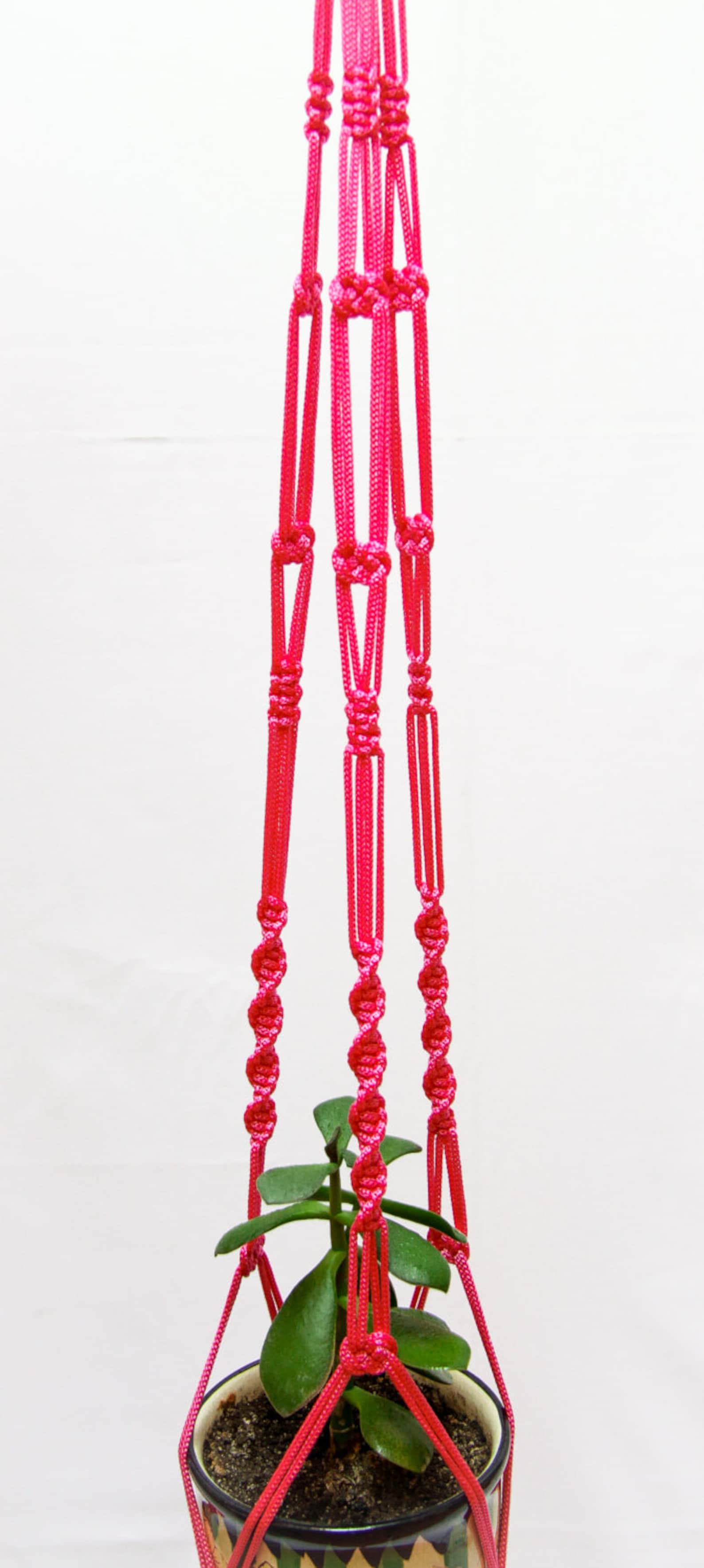 Hanging Basket / Macrame Plant Hanger / Hanging Planter / Etsy