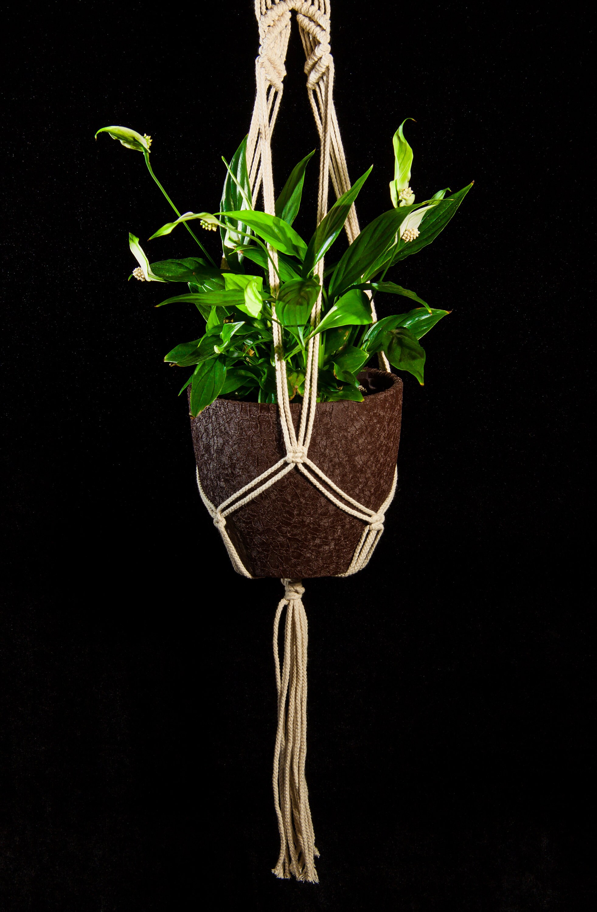 Hanging Planter Macrame Plant Hanger Wall Plant Pot Holder Etsy