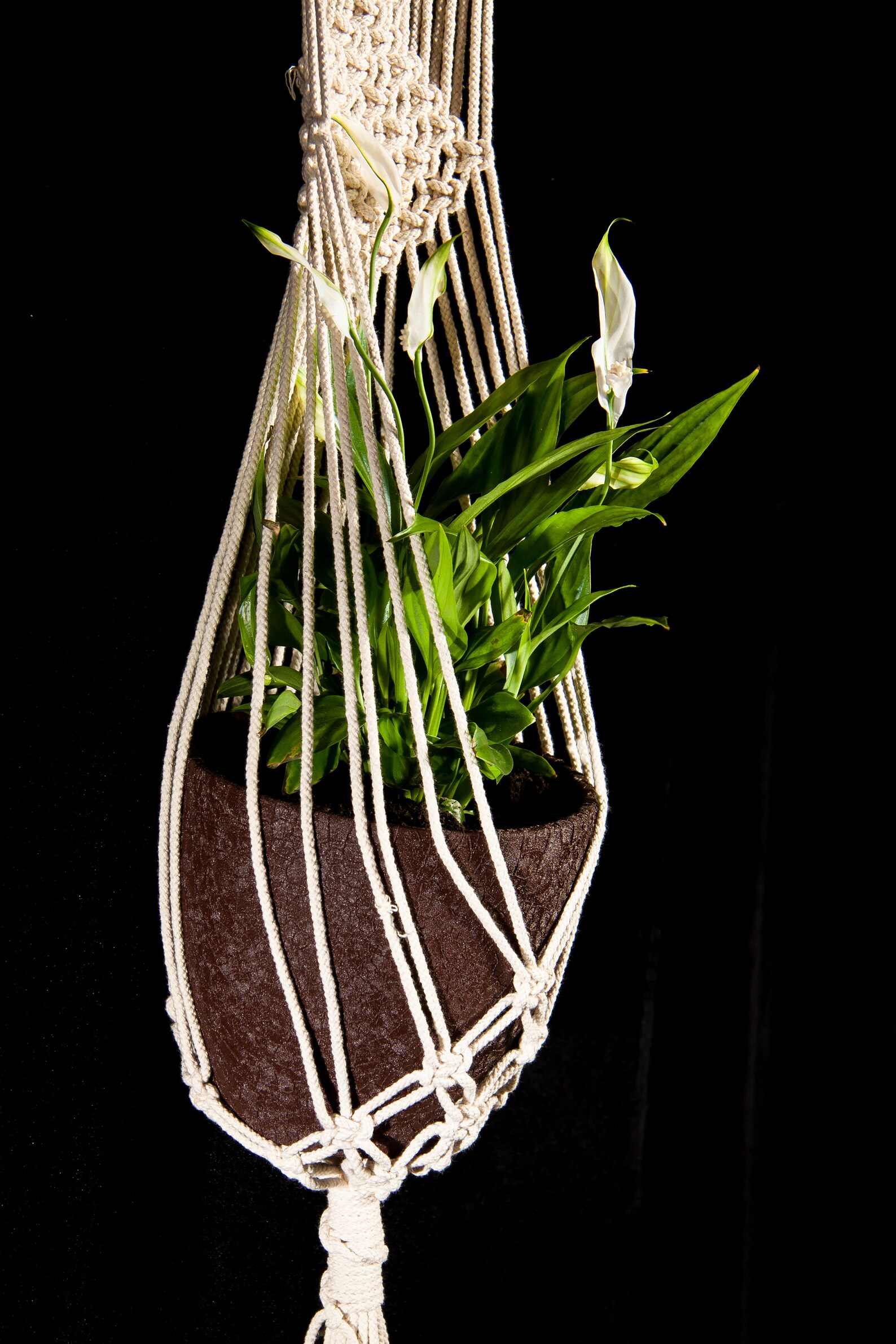 Macrame Plant Hanger / Hanging Planter / Wall Plant Hanger / Etsy