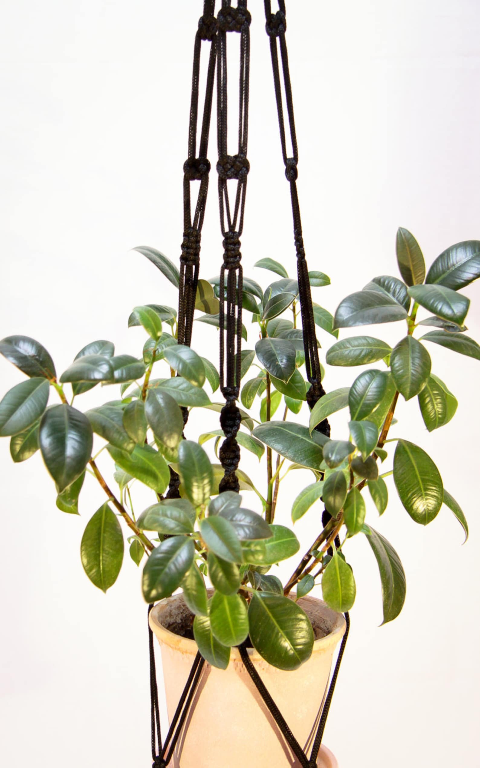 Hanging Basket / Macrame Plant Hanger / Hanging Planter / Etsy