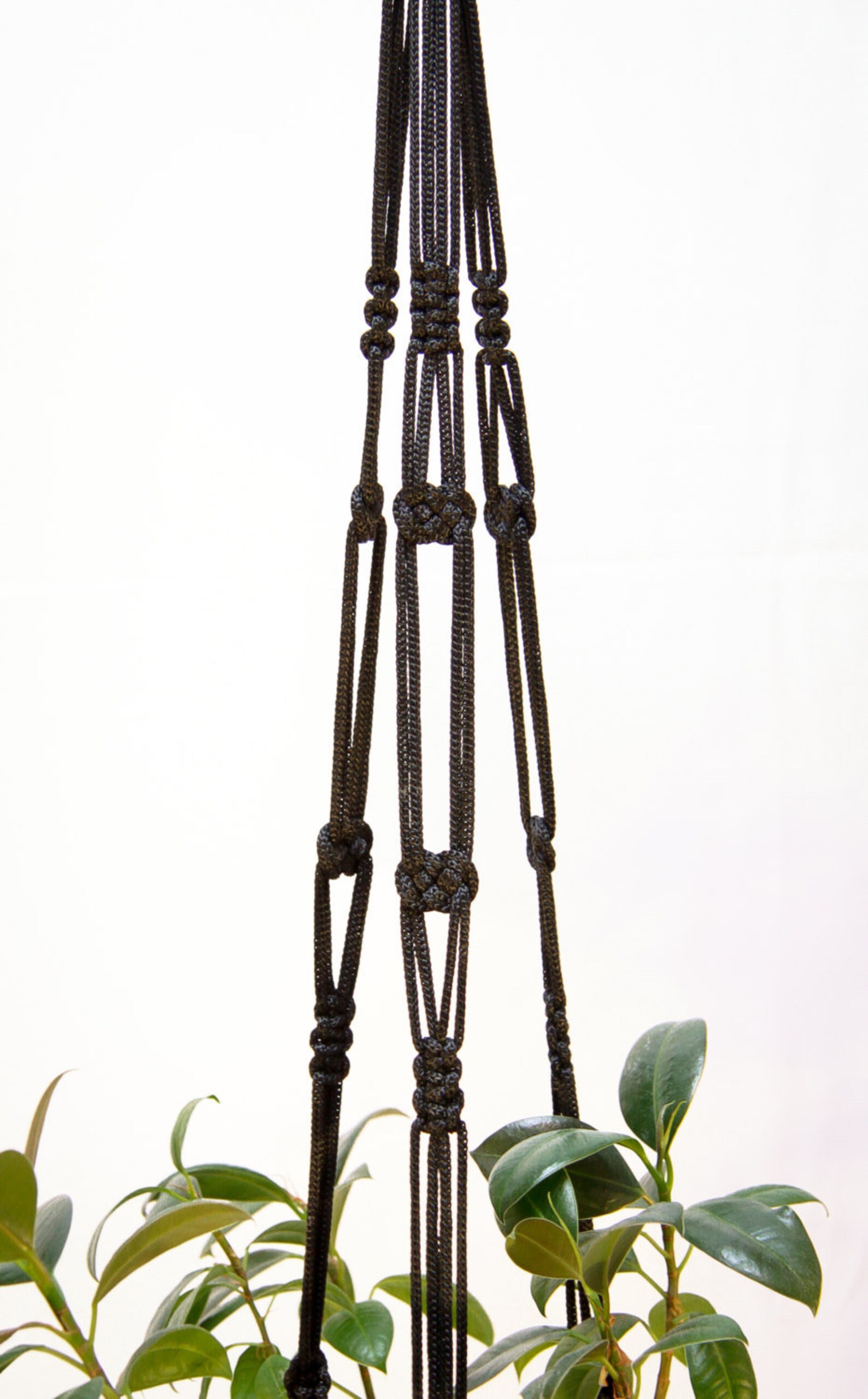 Hanging Basket / Macrame Plant Hanger / Hanging Planter / Etsy