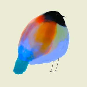 May include: A digital illustration of a round, plump bird with a black head and beak. The body features blended patches of orange, red, and blue, with a solid blue tail. The bird has two thin, black, stick-like legs standing on a light background.