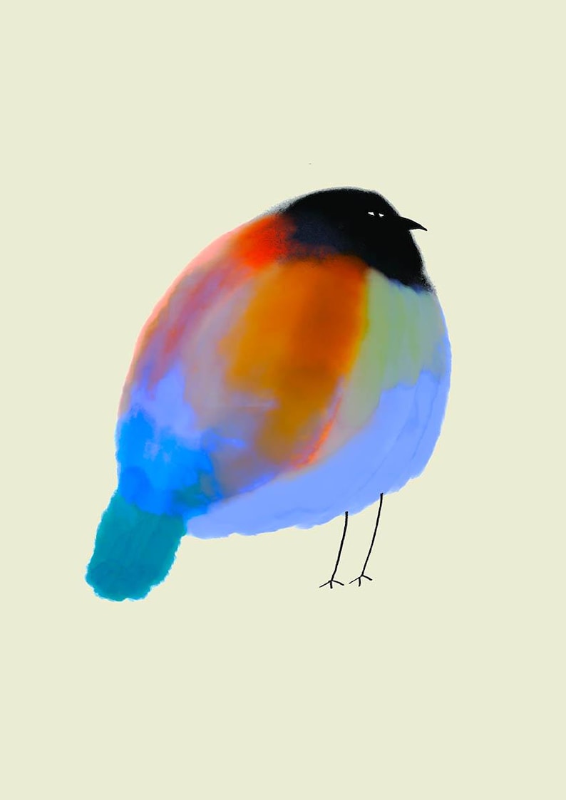 May include: A digital illustration of a round, plump bird with a black head and beak. The body features blended patches of orange, red, and blue, with a solid blue tail. The bird has two thin, black, stick-like legs standing on a light background.