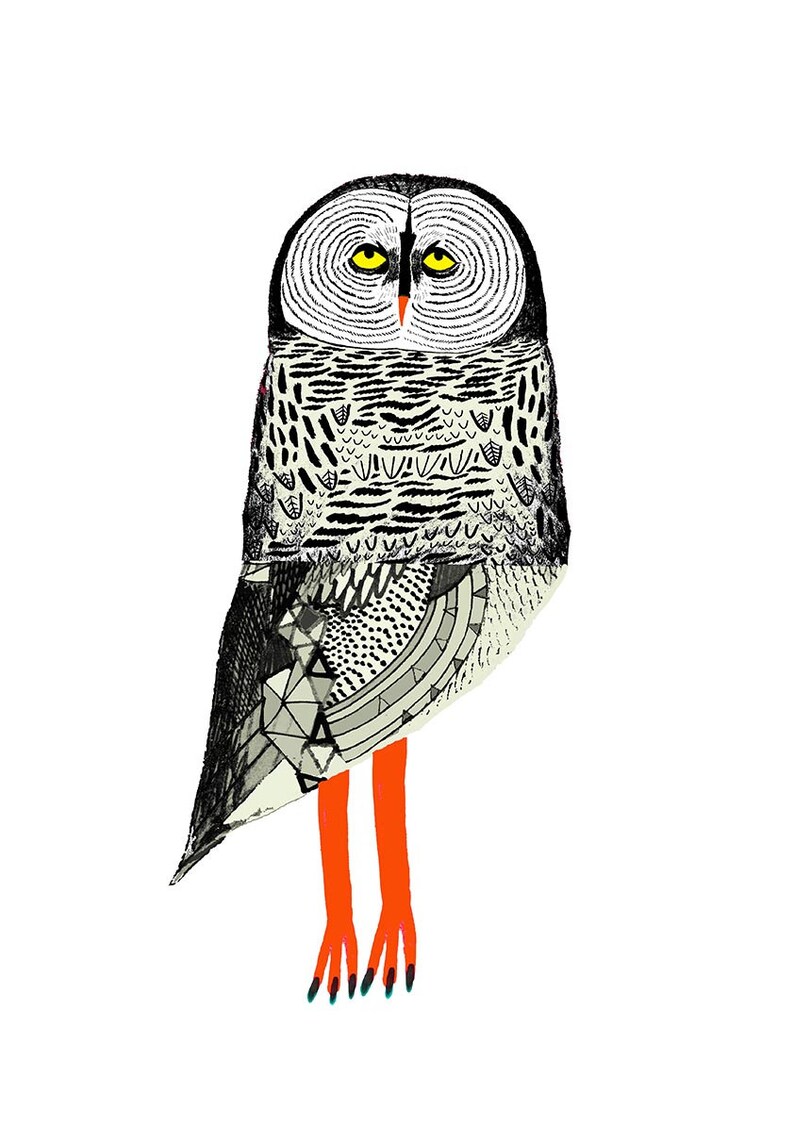 Great Grey Owl Art Print Home Decor image 3