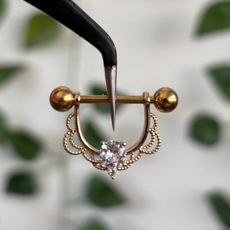 Elegantes Nippel Piercing Frau Ebenbild