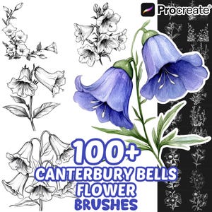 Procreate Flower Brushes, 100+ Canterbury Bells Flower Procreate Brushes, Floral Procreate, Nature Procreate, Flower Procreate, Botanical