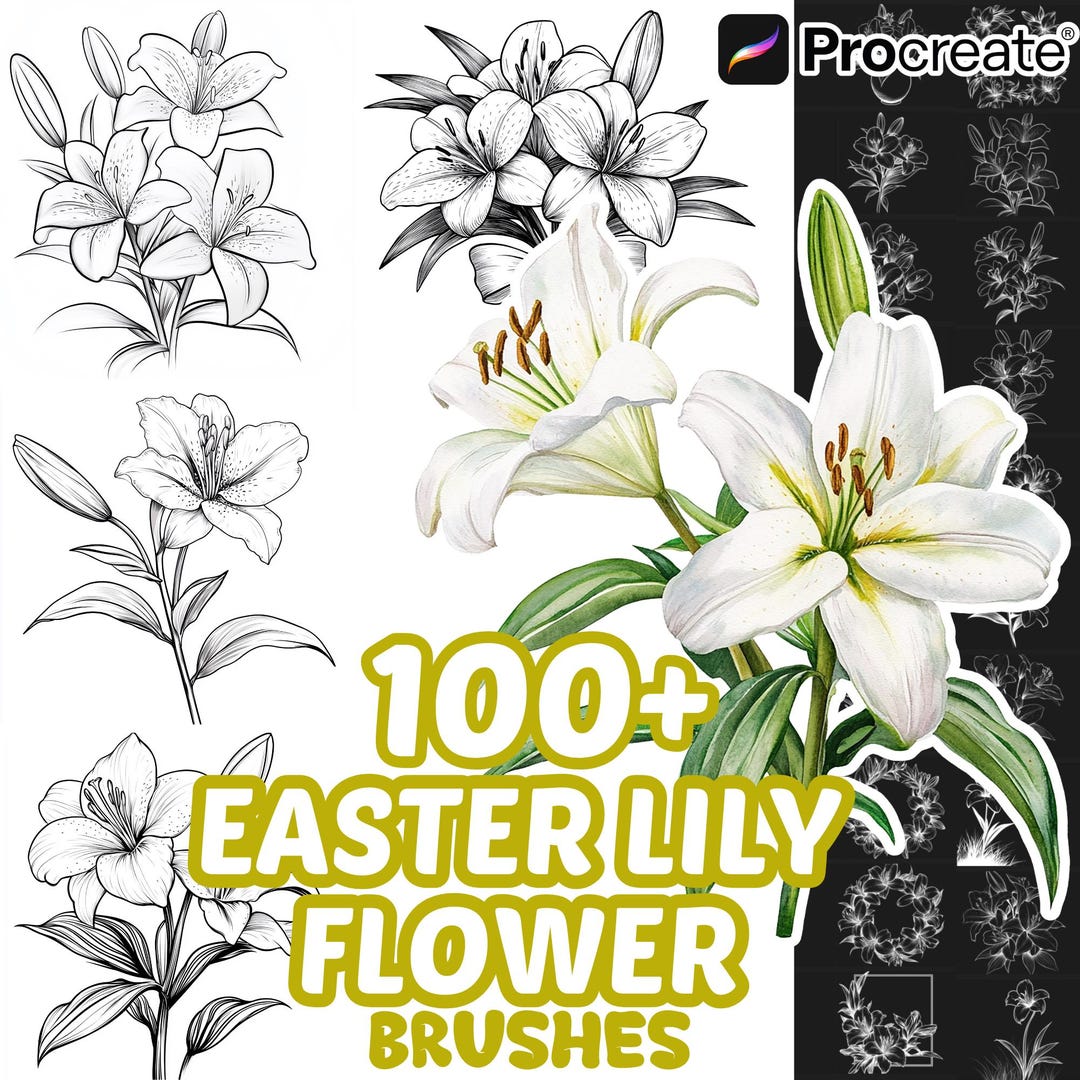 Procreate Flower Brushes, 100+ Easter Lily Flower Procreate Brushes ...