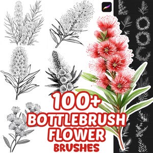 Procreate Flower Brushes, 100+ Bottle Bush Flower Procreate Brushes, Floral Procreate, Nature Procreate Brushes, Plants, Flower Procreate