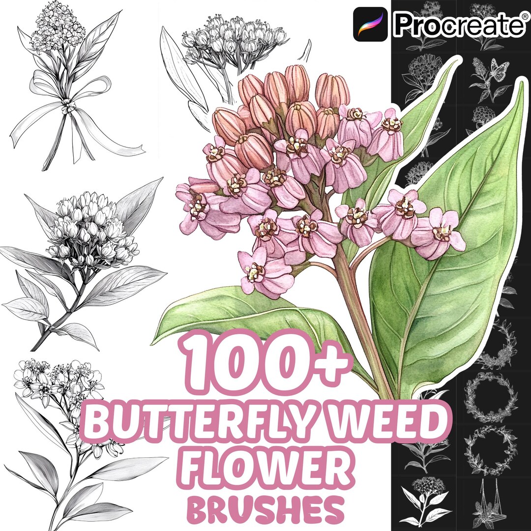 Procreate Flower Brushes, 100+ Butterfly Weed Flower Procreate Brushes ...