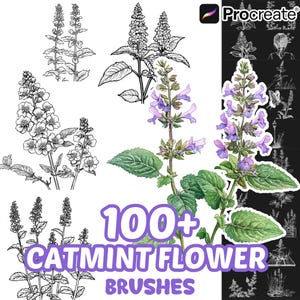 Procreate Flower Brushes, 100+ Catmint Flower Procreate Brushes, Floral Procreate, Nature Procreate, Plants, Flower Procreate, Botanical