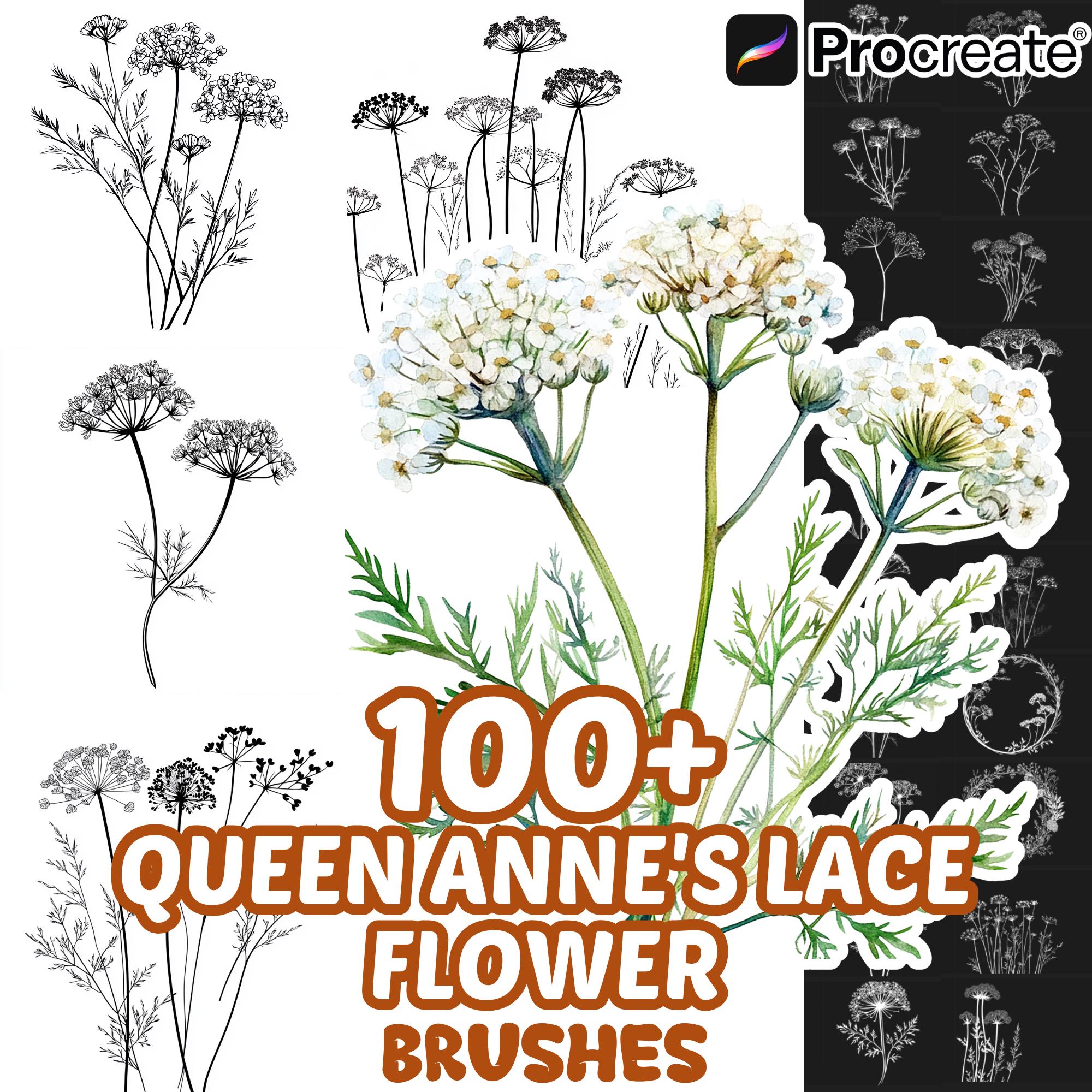 Queen Annes Lace Tattoo - Etsy, image size:2000x2000