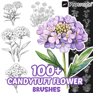 Procreate Flower Brushes, 100+ Candytuft Flower Procreate Brushes, Floral Procreate, Nature Procreate, Plants, Flower Procreate, Botanical
