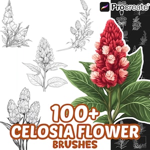 Procreate Flower Brushes, 100+ Celosia Flower Procreate Brushes, Floral Procreate, Nature Procreate, Plants, Flower Procreate, Botanical