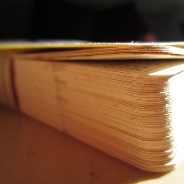 Vintage bundle of data entry cards - OLD STYLE computer stuff - great for art/crafts/home decor