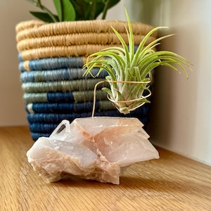 Clear Quartz Crystal with Air Plant, Beautiful Home Decor, Amazing Gift