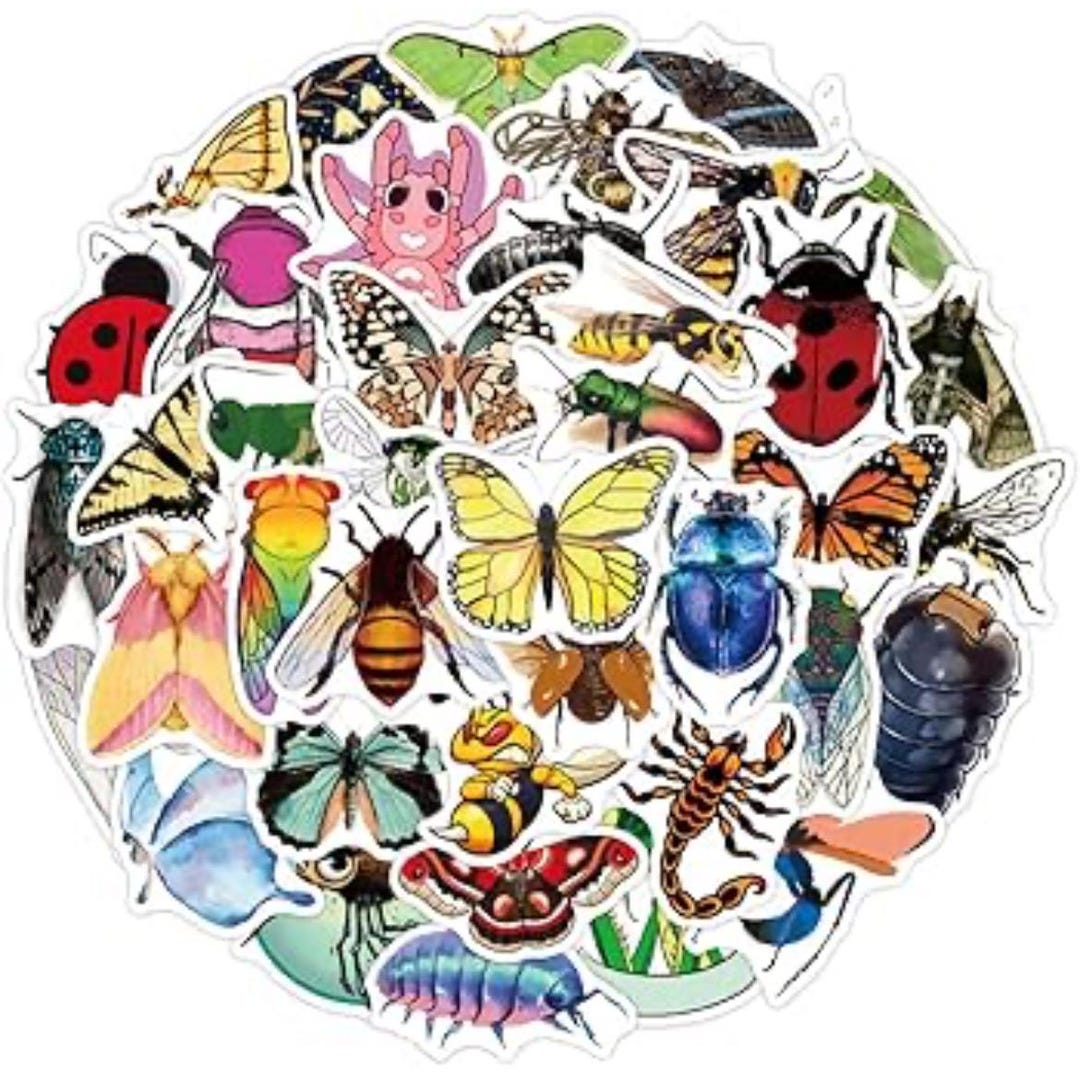 Insect Names Stickers 50 Pieces of Cute Insect Sticker Pack - Etsy