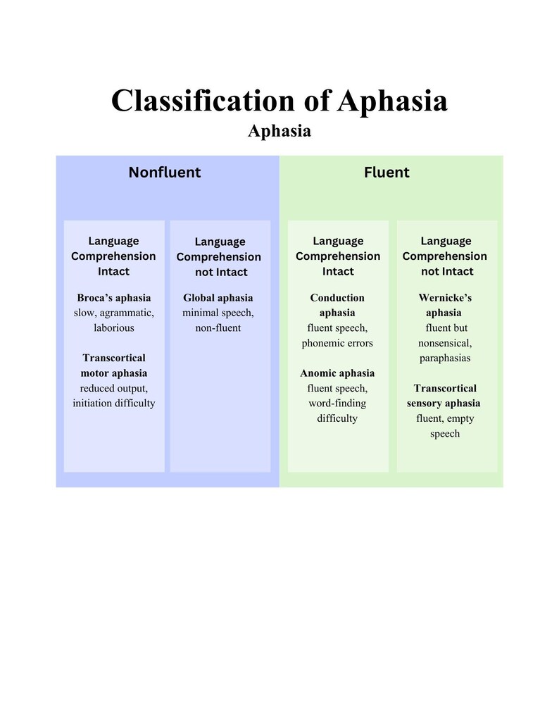 Aphasia Types Cheat Sheet PDF | Broca, Wernicke, Global | SLP Study ...