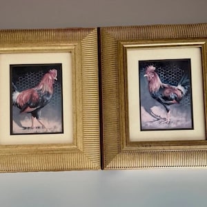 Può includere: Due stampe artistiche incorniciate di galli. Ogni stampa presenta un dipinto ad acquerello di un gallo nelle tonalità del rosso, nero e bianco su uno sfondo scuro. Le cornici sono color oro con un design strutturato.