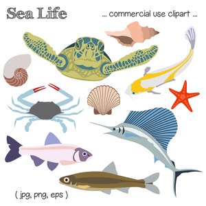 INDes imprimible OCEAN CLIP ART - Tortuga, Pescado, Cangrejo, Conchas, Estrella de Mar, Descarga Digital, EvisionArts