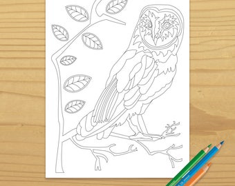 Printable OWL COLORING PAGE, Digital Download, EvisionArts