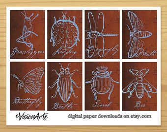 Printable INSECT GIFT TAGS - Beetles, Grasshopper, Dragonfly, Digital Download, EvisionArts