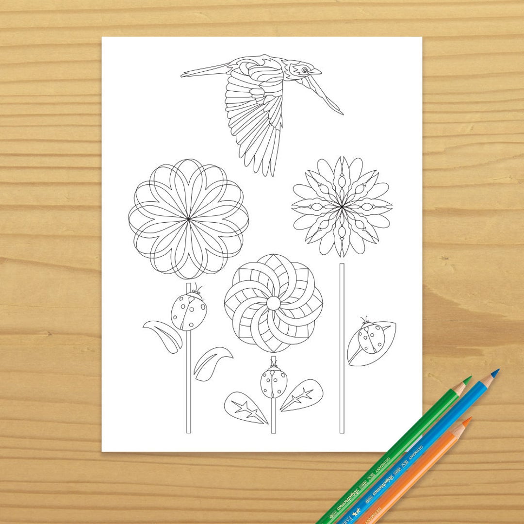 Printable BIRD COLORING PAGE, Digital Download, Evisionarts - Etsy