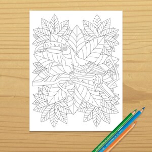 Printable TOUCAN COLORING PAGE, Digital Download, EvisionArts