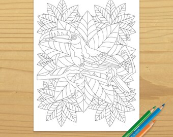 Printable TOUCAN COLORING PAGE, Digital Download, EvisionArts