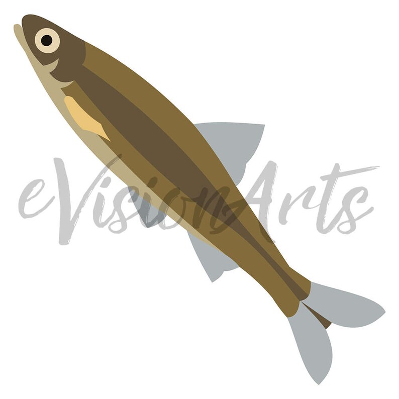 Printable OCEAN CLIP ART Turtle, Fish, Crab, Shells, Starfish, Digital