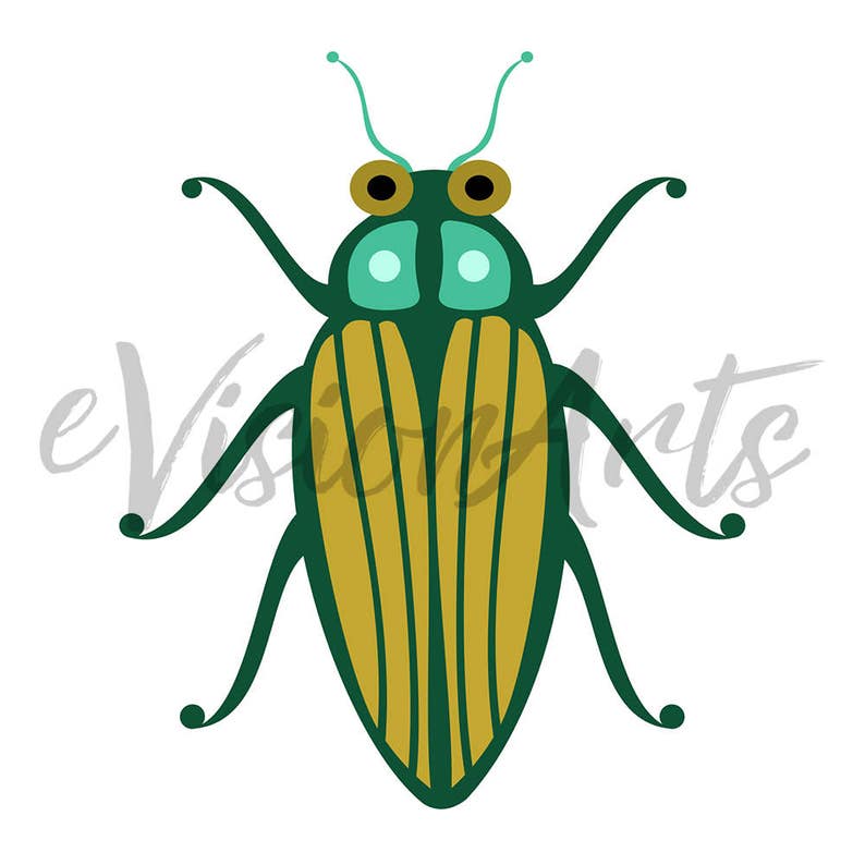 Imprimable INSECT CLIP ART Beetle, Coccinelle, Libellule, Bee, Wasp, Téléchargement numérique, EvisionArts image 3