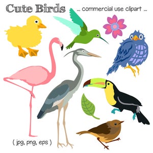 Printable BIRD CLIP ART - Duckling, Hummingbird, Blue Bird, Flamingo, Crane, Toucan, Robin, Digital Download, EvisionArts