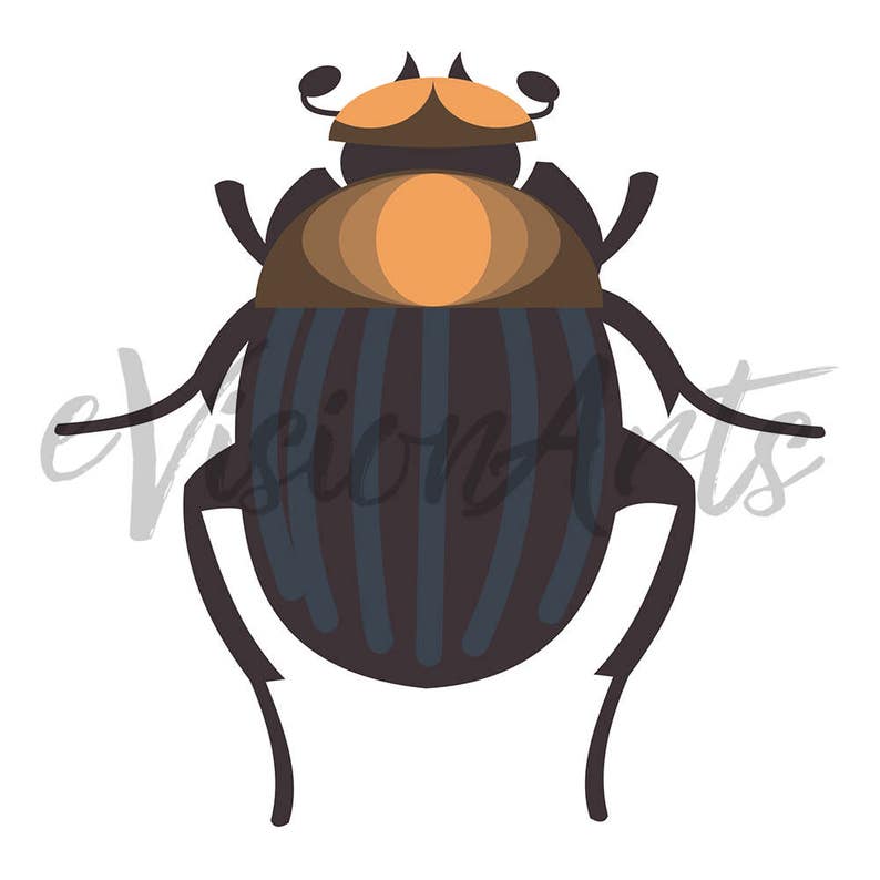 Imprimable INSECT CLIP ART Beetle, Coccinelle, Libellule, Bee, Wasp, Téléchargement numérique, EvisionArts image 5