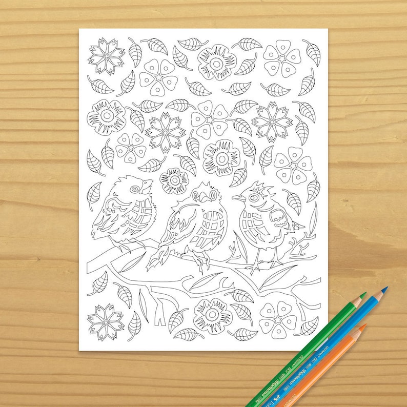 Printable BIRD COLORING PAGE, Digital Download, Evisionarts - Etsy