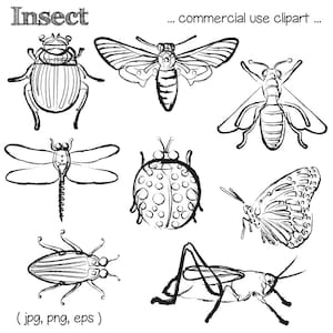 Printable INSECT CLIP ART - Beetle, Bee, Dragonfly, Ladybug, Butterfly, Grasshopper, Digital Download, EvisionArts