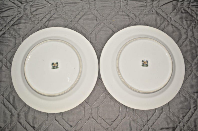Juego de platos llanos florales Komatsu Imperial China vintage de 24,7 cm (9,75 pulgadas) fabricados en Japón. imagen 4