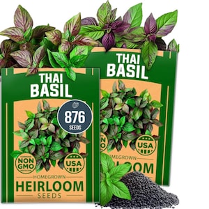 Thai Basil Seeds Bulk Pack: Culinary Herb, Heirloom Variety