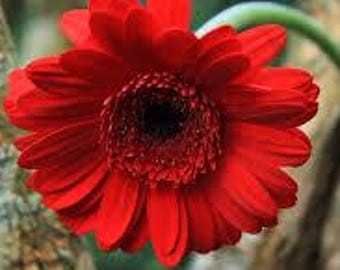 custom, hat, trucker hat