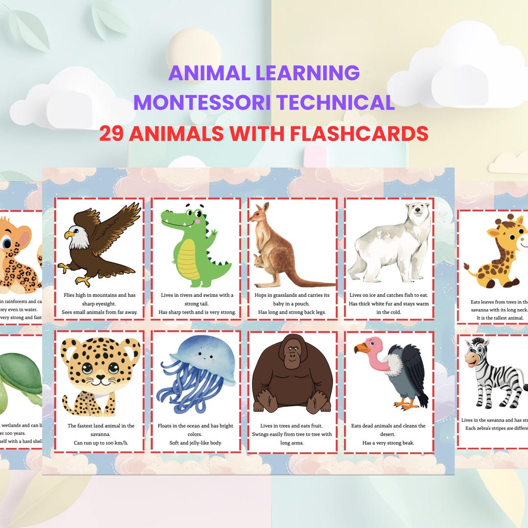 Animal Fact Cards With Habitats | Language Development Activity | Kids ...