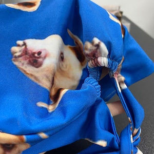 Puede incluir: Un cubrecabezas de tela azul brillante con un patr&oacute;n repetitivo de la cara de un perro de color marr&oacute;n claro y blanco. El accesorio incluye una secci&oacute;n el&aacute;stica fruncida y lazos de tela en la parte posterior para ajustar el ajuste.