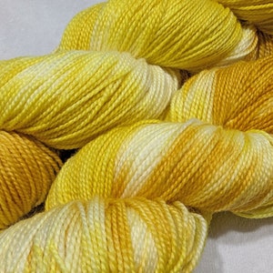 Hand Dyed Yarn - Grande Ronde Skeins - SW Merino/Nylon - 80/20 - 2 ply - 115 grams/4 ounces - Approximately 421 yards