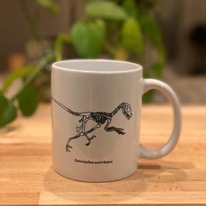 以下が含まれることがあります： Deinonychus antirrhopusの恐竜の骨格が黒い線画で描かれた白いセラミック製のマグカップ。イラストの下には学名が小さな黒い文字で印刷されています。マグカップの右側には湾曲したハンドルが付いています。