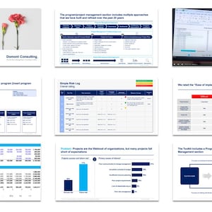 Program, Project and Change Management Toolkit