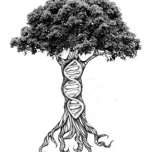 May include: Black and white illustration of a tree with a DNA helix integrated into its trunk. The tree has a full, leafy crown and detailed roots. The artwork is rendered in a realistic style, with shading to create depth and texture.